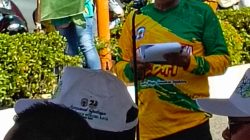karnaval budaya