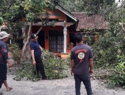 Cabang Pohon Sentuh Kabel Listrik, Tim Damkar Palangka Raya Sigap Atasi Ancaman Bahaya