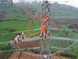 Peningkatan Pendapatan Dorong PLN Masuk Fortune Global 500