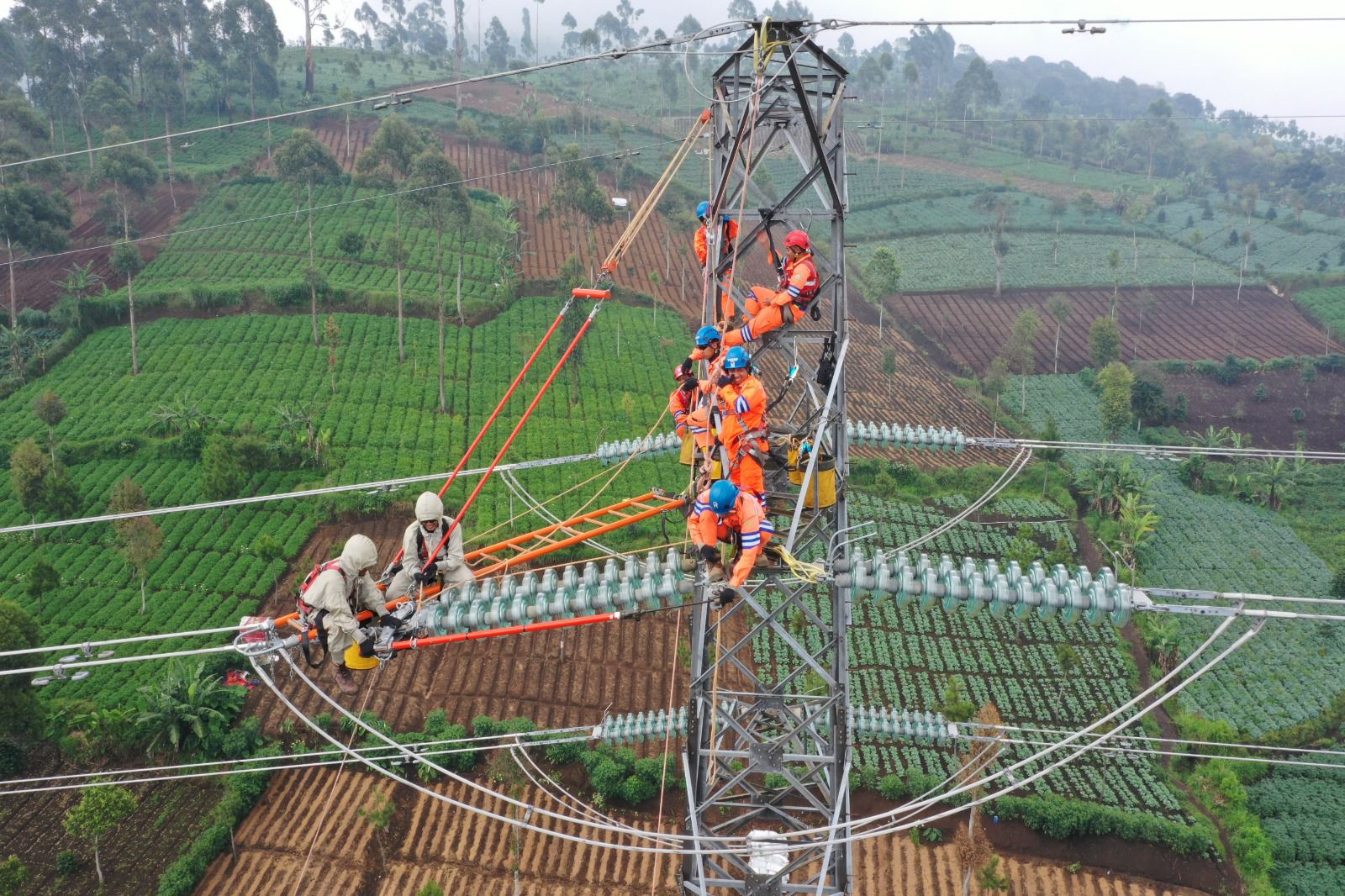 pln