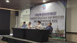 investor tambang