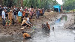 panen ikan