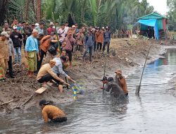 Bupati dan Wabup Pulang Pisau Panen Ikan di Papuyu III, Dukung Perekonomian Pesisir