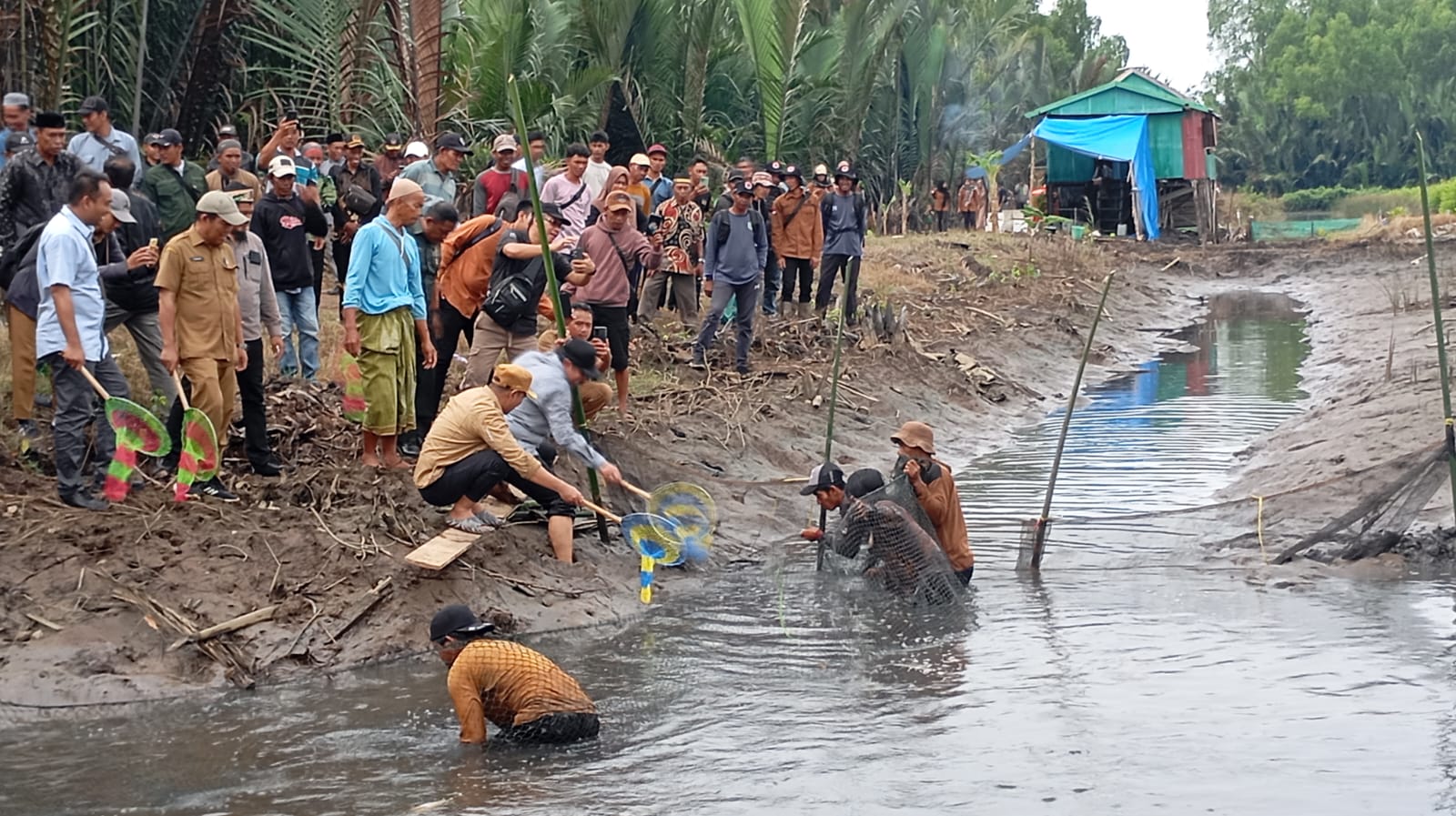 panen ikan