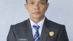 pns