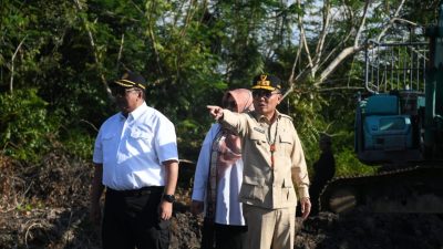 Gubernur Kalteng Optimis Program Cetak Sawah Rakyat di Pulang Pisau Sukses