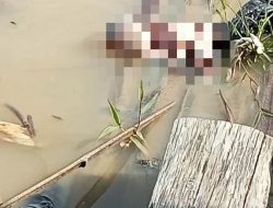 Warga Geger, Jasad Bayi Ditemukan Mengapung di Sungai Kapuas Desa Tarantang