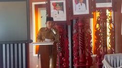 jemput bola