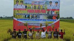 panen raya