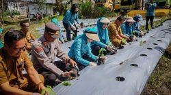 rumah bibit