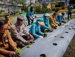 Rumah Bibit & Gerakan Pemanfaatan Pekarangan Diluncurkan, Target Penuhi Kebutuhan Cabai Lokal Palangka Raya