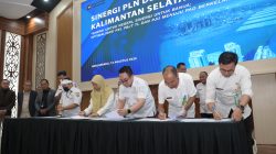 pln