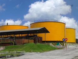 PLN Pasok Listrik Andal 865 kVA ke PT BGA, Dorong Hilirisasi Industri Sawit dan Energi Bersih