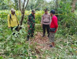 Warga Maliku Geger, Kerangka Manusia Ditemukan di Kebun Karet Gandang Barat