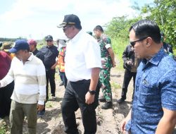 Dirjen LIP Kementan & Kajati Kalteng Tinjau Program Cetak Sawah Rakyat di Pulang Pisau