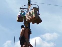 Meriah, Pemkab Pulang Pisau Gelar Lomba Panjat Pinang HUT ke-80 RI dan Hari Jadi ke-23