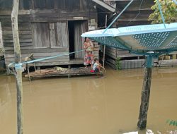 Kotim Siaga 48 Hari, Tujuh Kecamatan Terendam Banjir