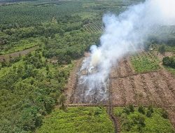 BPBD Kotim Gerak Cepat Padamkan Kebakaran Lahan Gambut di Sampit