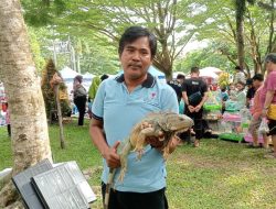 Dari Amerika Latin ke Palangka Raya: Perjalanan Iguana Menjadi Primadona Reptil