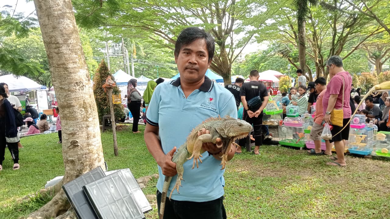 iguana