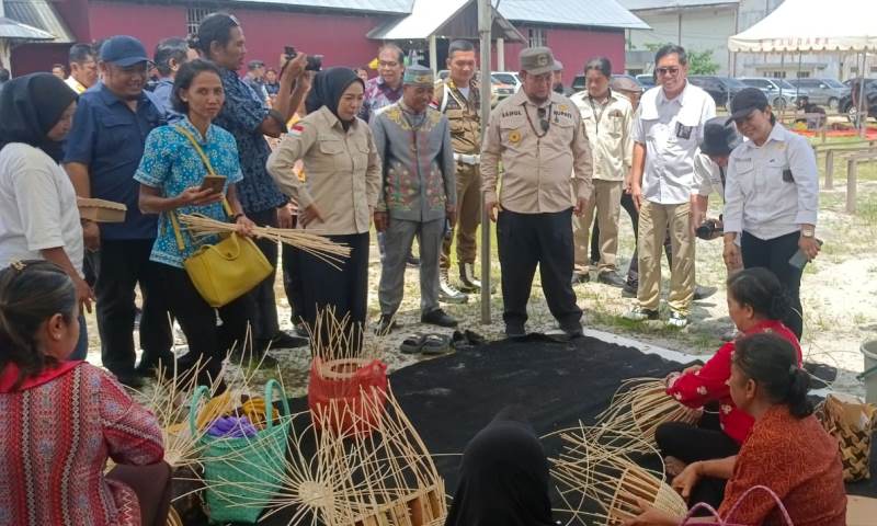 rotan