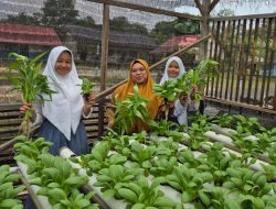 Menanam Harapan di Tanah Hulu, Kisah Sekolah yang Melawan Budaya Emas