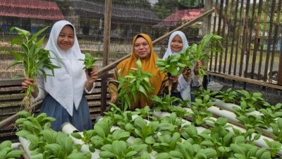 Menanam Harapan di Tanah Hulu, Kisah Sekolah yang Melawan Budaya Emas