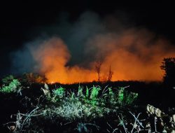 Kebakaran Lahan di Belakang Aqui Sampit Diduga Sengaja Dibakar