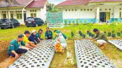 Demplot Bawang Putih