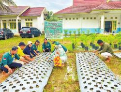 Demplot Bawang Putih di Delang Berhasil, Lamandau Siap Jadi Sentra Baru di Kalteng