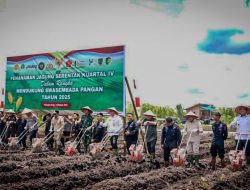 Pemko Soroti Potensi Pertanian Rakumpit, Achmad Zaini: Saatnya Kembangkan Lahan untuk Kemandirian Pangan