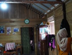 80 Tahun Membersamai Negeri, Listrik PLN Menjadi Pendorong Ekonomi Kerakyatan