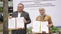 pln