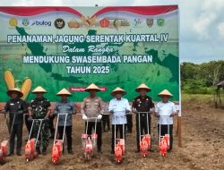 Polres Pulpis Dukung Ketahanan Pangan Lewat Penanaman Jagung Serentak di Desa Buntoi