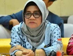 Mariani Soroti Kendala Pembangunan Jembatan di Dapil IV Akibat Larangan Kayu Ulin