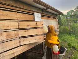 Tingkatkan Perekonomian Masyarakat, YBM PLN Berikan Bantuan Usaha untuk Kelompok Peternakan Ayam