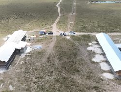 Dukung Peternakan Modern di Sukamara, PLN Kalselteng Luncurkan Program INLEVIN