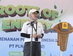 PLN Kalselteng Perkuat Penghijauan di Tahura Sultan Adam pada Hari Menanam Pohon Indonesia