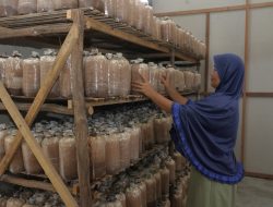 Komitmen TJSL Berkelanjutan, PLN UID Kalselteng Raih Penghargaan Gold ISDA 2025