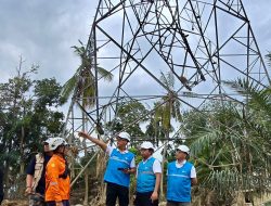 PLN Terus Kebut Siang Malam Perbaiki Jalur Listrik Langsa-Pangkalan Brandan, Penopang Pemulihan Kelistrikan Aceh