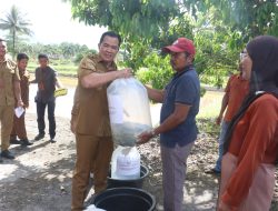 Bupati Pulpis Serahkan Bantuan Benih Ikan di BBI Gohong, Dorong Ketahanan Pangan