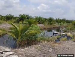 Penyidik Dimutasi, Kasus Dugaan Tindak Pidana Kehutanan di Sukamara Terancam Melambat