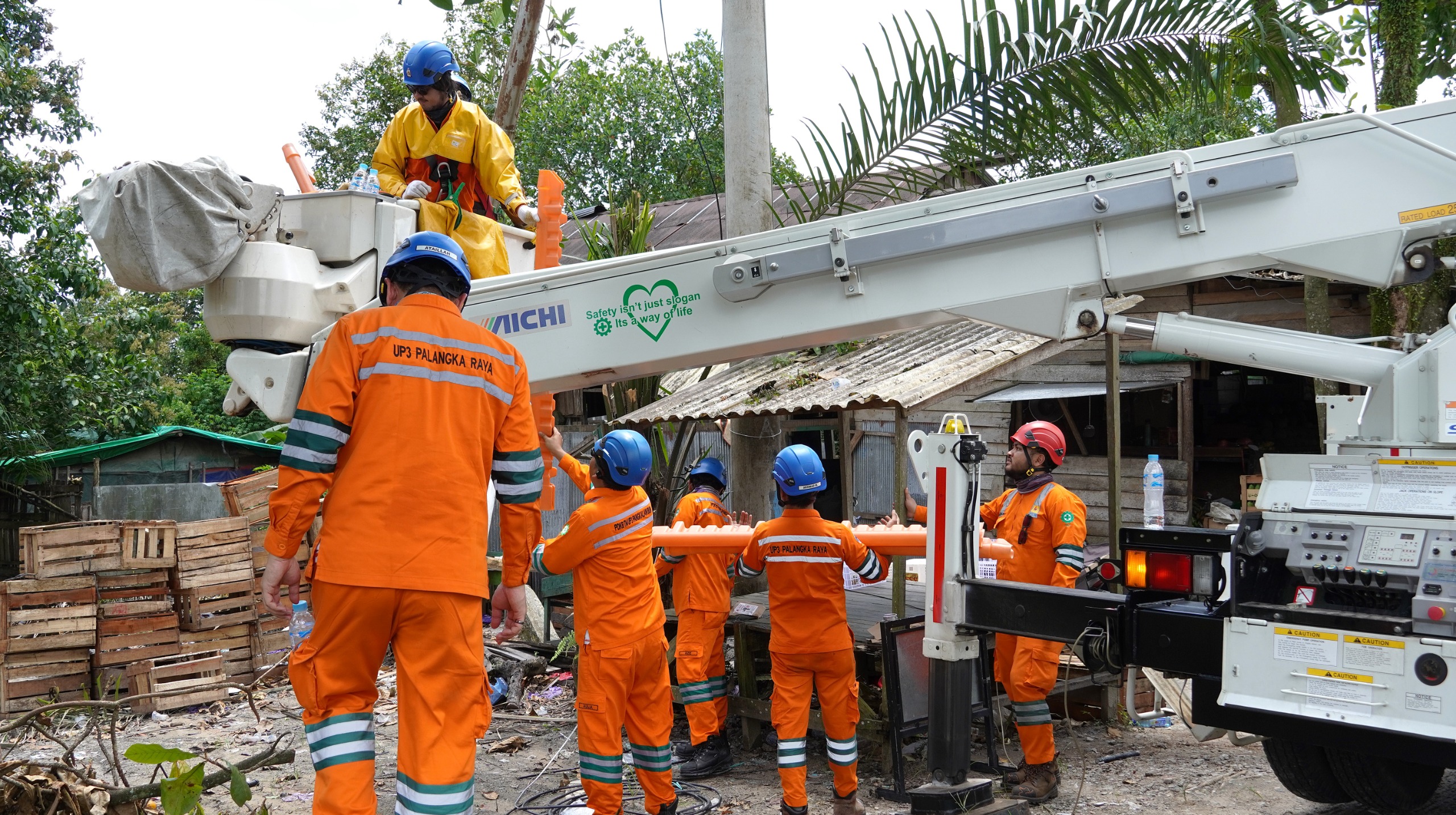 pln