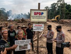 Hutan Dirambah, Oknum Kepala Daerah Terseret! Polda Kalteng Terbitkan SPDP