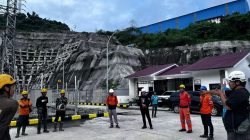 pln
