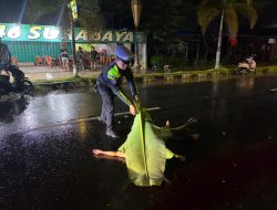 Kecelakaan Dini Hari di Palangka Raya Berujung Maut, Mahasiswi Meregang Nyawa, Sopir Mobil Diduga Kabur