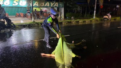 Kecelakaan Dini Hari di Palangka Raya Berujung Maut, Mahasiswi Meregang Nyawa, Sopir Mobil Diduga Kabur