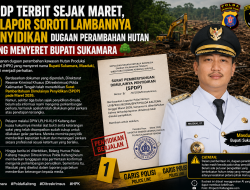 SPDP Terbit Sejak Maret, Pelapor Soroti Lambannya Penyidikan Dugaan Perambahan Hutan yang Menyeret Bupati Sukamara