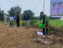 DLHK Pulpis Tanam Pohon di Rest Area Desa Anjir