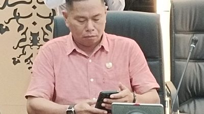 DPRD Barito Utara Apresiasi Penataan Penerangan Kota Muara Teweh